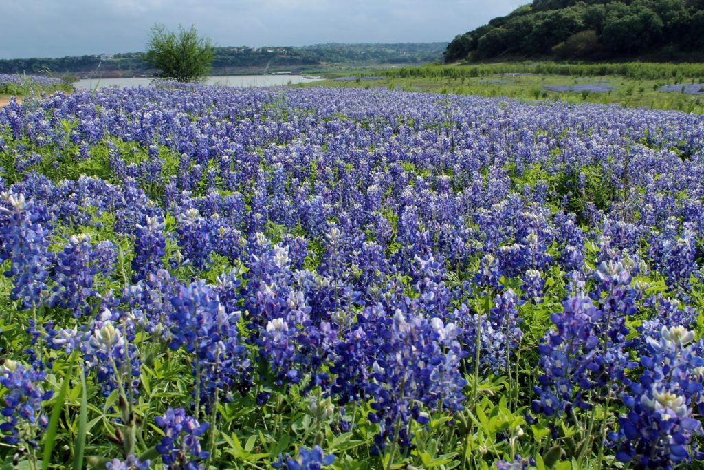 Boerne TX Realtor looking for land great views